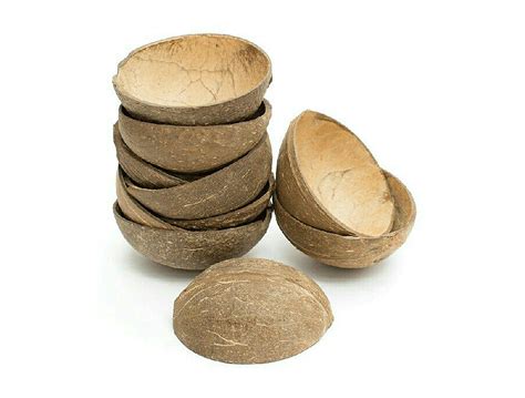 Thenga® | Coconut Shell Products Exporter from India – Eco‑Friendly ...