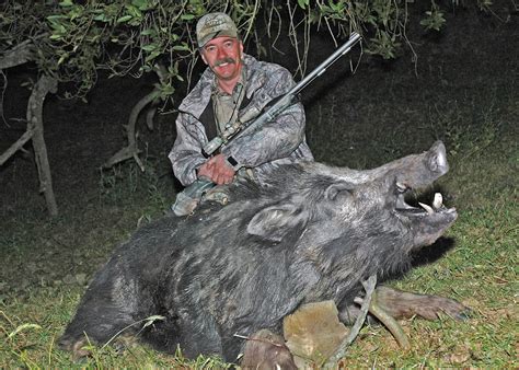 Where to Shoot a Hog | Outdoor Life