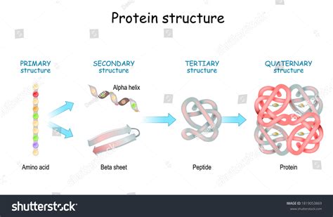 Image result for Nearest Neighbours Algorithm Graph Examples