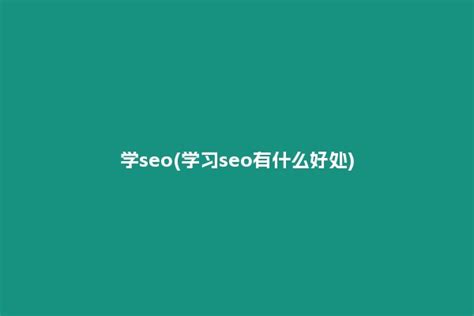 我要学SEO-我要学SEO官网:SEO学习培训网站-禾坡网