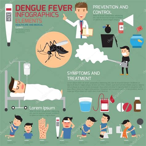 Infografías del dengue. ilustración vectorial. 2024