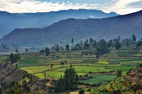 Image result for Colca Peru