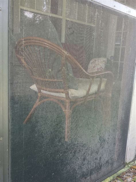 Image result for Clean Screen Enclosure for Pool