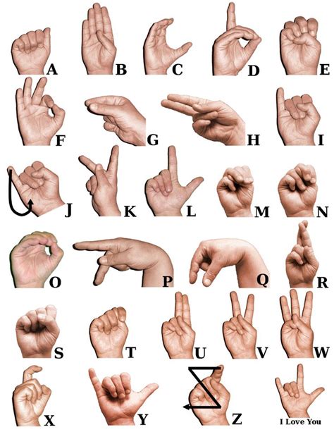 Image result for American Sign Language Basic Signs
