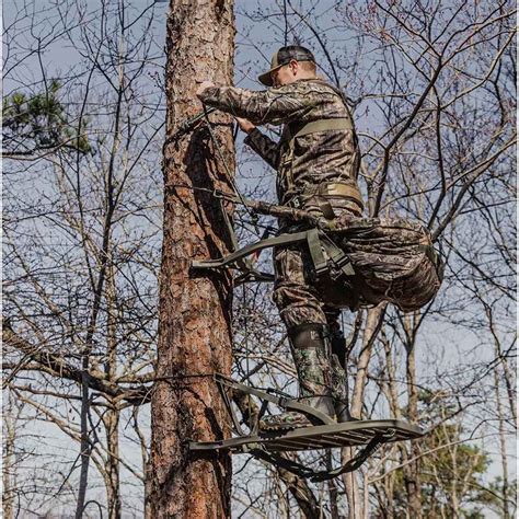 Image result for Using Summit Climbing Tree Stand