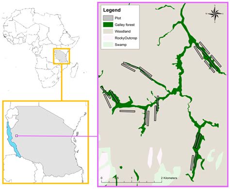 Assessment of Chimpanzee Nest Detectability in Drone-Acquired Images
