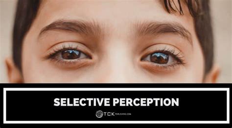 Image result for Selective Perception Examples