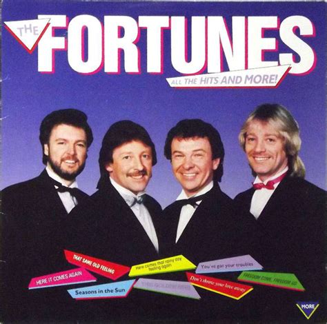 The Fortunes – All The Hits And More (1989, Vinyl) - Discogs