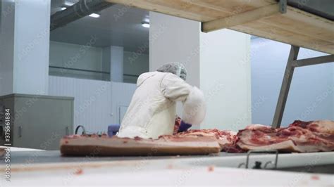 Inside the Meat Processing 的图像结果
