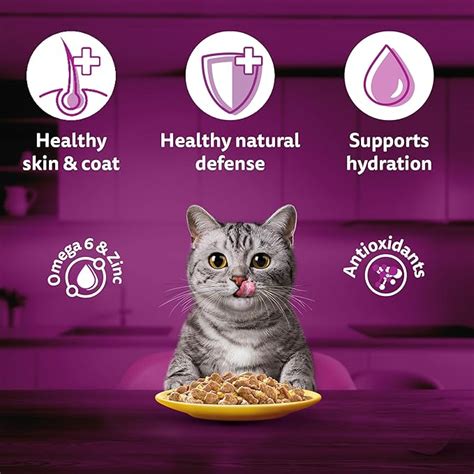 Whiskas Adult (1+ Years) Wet Cat Food, Chicken in Gravy, 80 g (Pack of ...