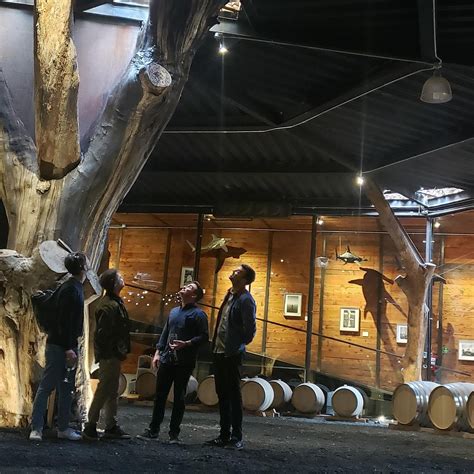 BAJA MEXICO WINECOUNTRY EXPERIENCE (2026) All You Should Know BEFORE ...