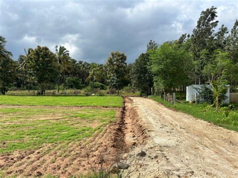 949+ Property for Sale Near Dr Ambedkar School, Kodihalli, Bangalore