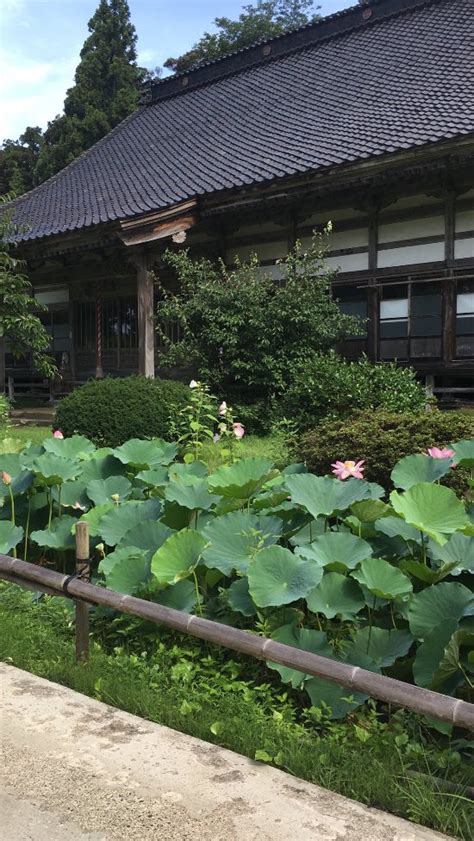 KONINJI TEMPLE (Sado) - Shukubo Reviews & Photos - Tripadvisor