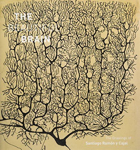 Buy The Beautiful Brain: The Drawings of Ramon y Cajal: The Drawings of ...