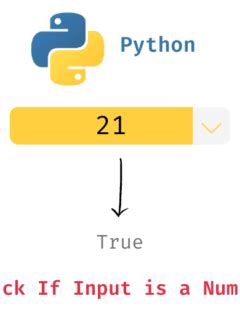 Image result for Python Check Input Type