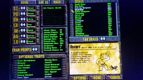 Image result for Fallout 2 Builds