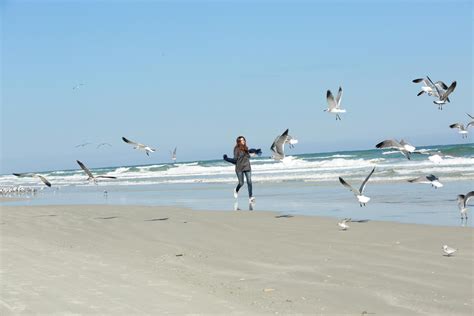 What is Ornithophobia? | Who is at risk, how to deal and triggers