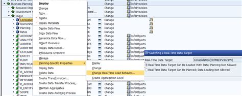 Image result for SAP BPC Input Form