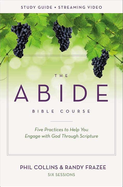 Buy The Abide Bible Course Study Guide plus Streaming Video Book Online ...