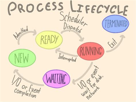 Image result for Process Cycle