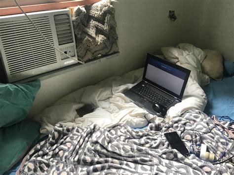 Coding Setup 的图像结果