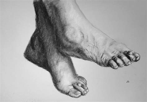 Foot Drawing 的图像结果
