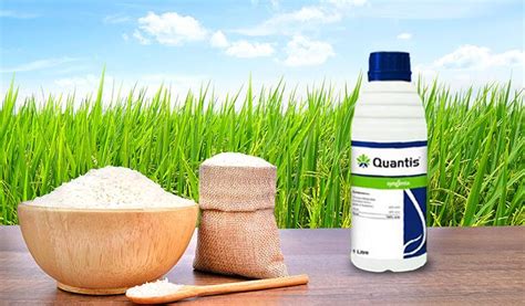 Quantis | Syngenta