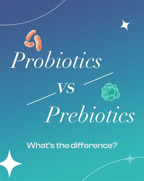 Probiotics vs Prebiotics - What's the difference? : r/GutHealth