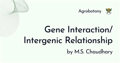 Gene Interaction Epistatic interactions. Notes