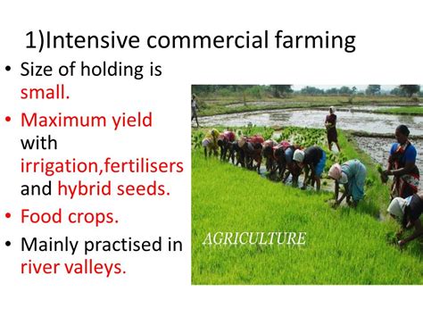 Commercial Farming 的图像结果