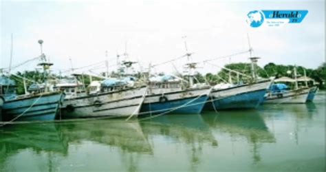 Stakeholders in the fishing industry demand for a fisheries corporation