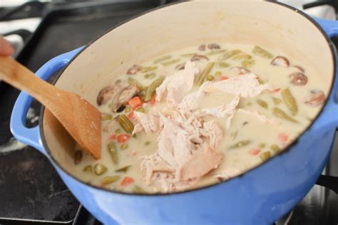 https://hip2save.com/wp-content/uploads/2022/11/adding-shredded-chicken-to-soup-.jpeg?resize=1024%2C683&strip=all&utm_source=chatgpt.com