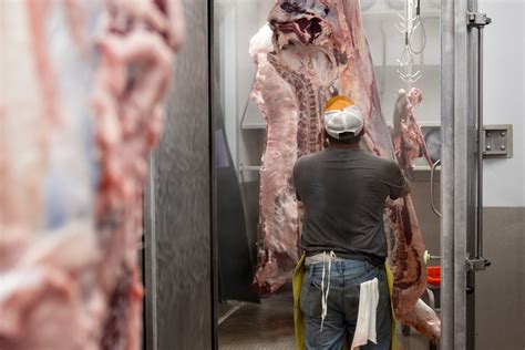 Image result for Beef Processing Systems