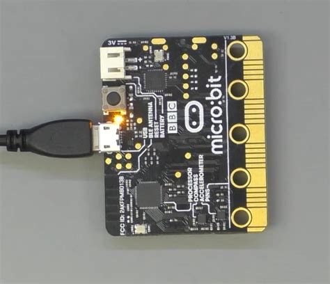 Image result for What Does Micro Python Look Like