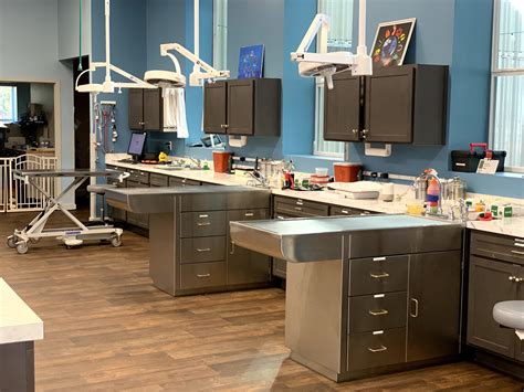 Veterinarian in Middleburg and Orange Park, FL | Black Creek Veterinary ...