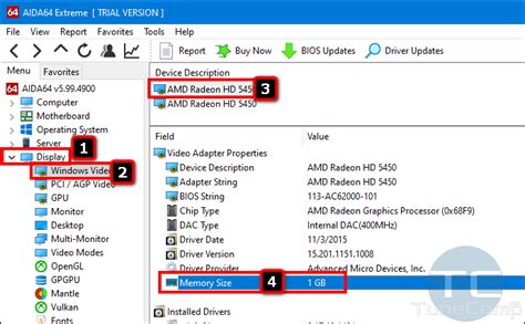 Check Computer Video Memory 的图像结果
