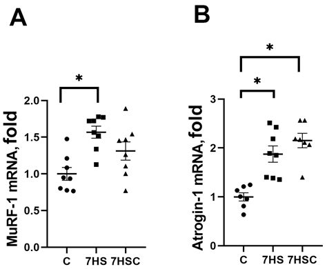 The Effect of SERCA Activation on Functional Characteristics and ...