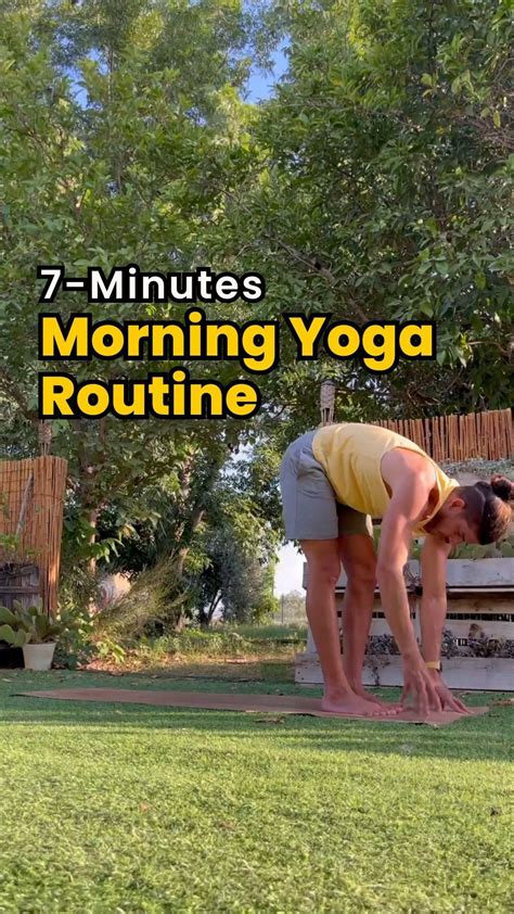 Morning Exercise 的图像结果