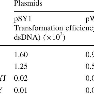 Image result for Transformation Efficiency Formula
