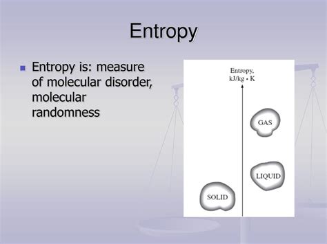 Entropy 的图像结果
