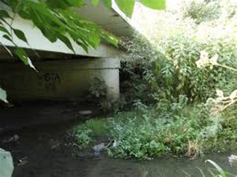 Shakhty Tourism (2026) Russia - Best Places to Visit in Shakhty ...