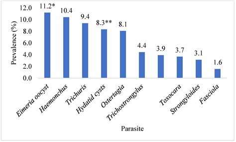 Inflicting Significant Losses in Slaughtered Animals: Exposing the ...