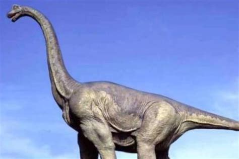 一只恐龙活了多久，可能它自己都不知道，科学家是如何判断的？,科学,科普,好看视频