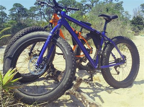 Hamilton Mountain Bike Tours & Rentals (Pensacola) - 2021 What to Know ...