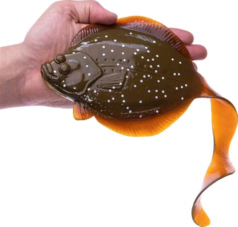 Real Fish 10" Sanddab Lingcod jigs Lure Bait Sand dab Halibut Rock cod ...