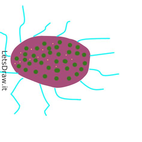 Image result for Programming Draw a Virus