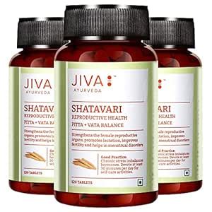Buy Jiva Shatavari Tablets 500mg 360 Tablet | 100% Pure & Natural ...