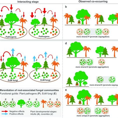 Potential Negative 的图像结果