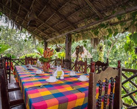 LAS GUACAMAYAS, CENTRO ECOTURÍSTICO, LODGE & RESORT. (Marqués de ...