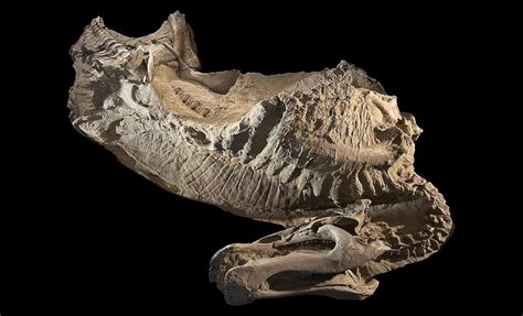 Vanished for 375 Years, "Zealandia" Earth's 8th Continent Has Finally Been Found Beneath the ...